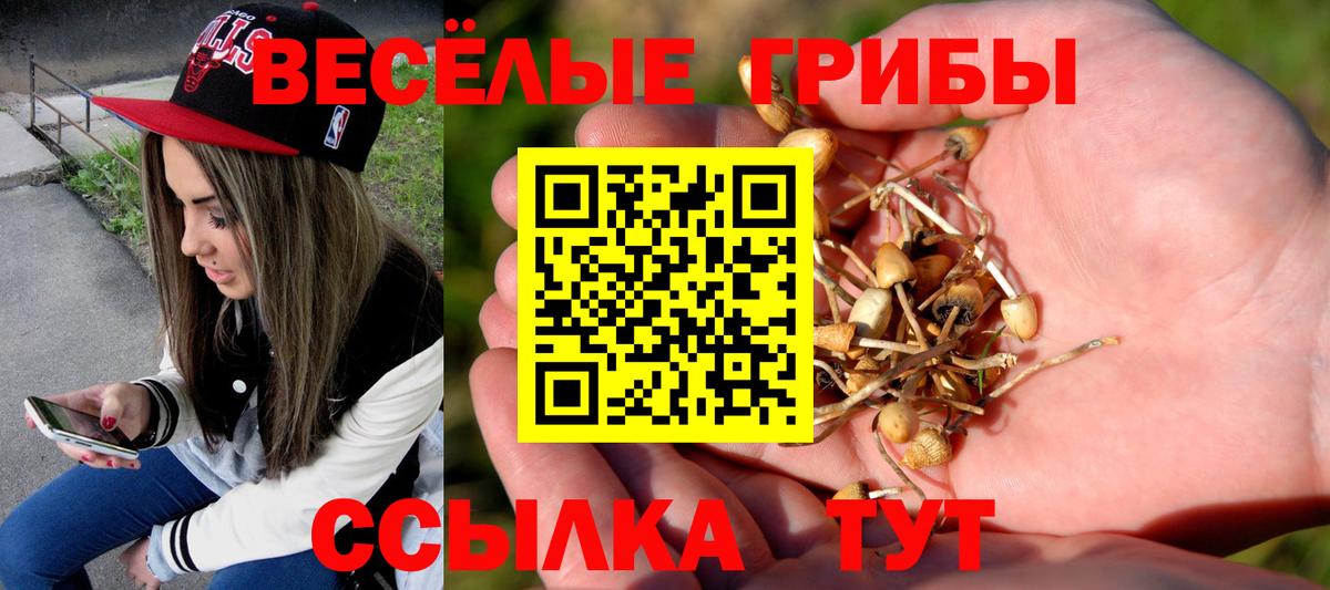 Галлюциногенные грибы Magic Shrooms Избербаш